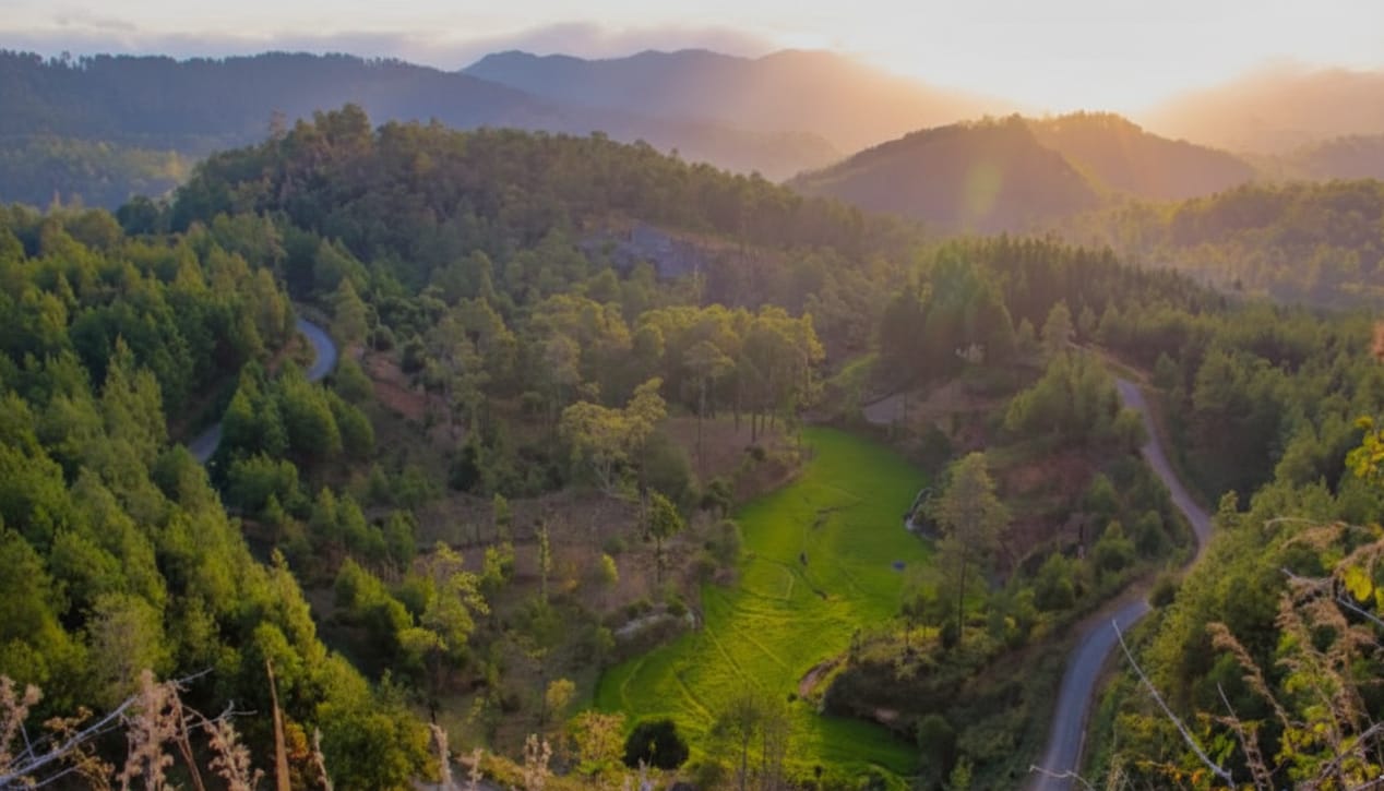 WhatsApp_Image_2026-02-16_at_12-54-35